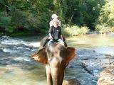 Nate the Mahout